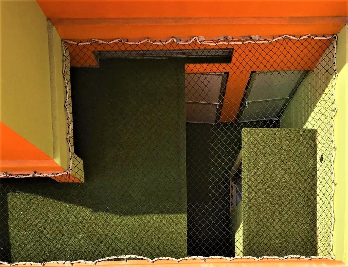 Happy Tree Hostel Peru 利马 外观 照片